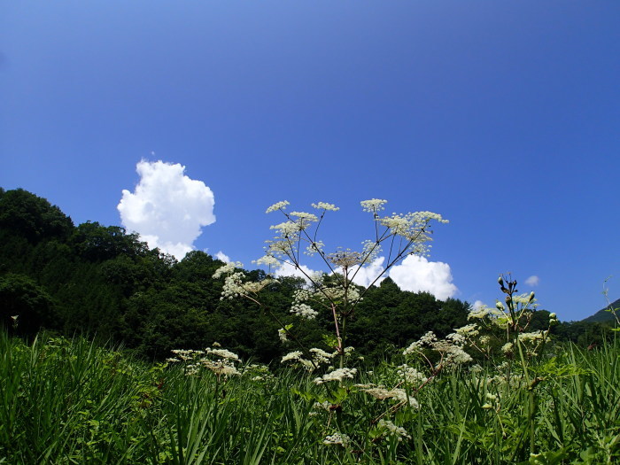 a0277496_13583438.jpg