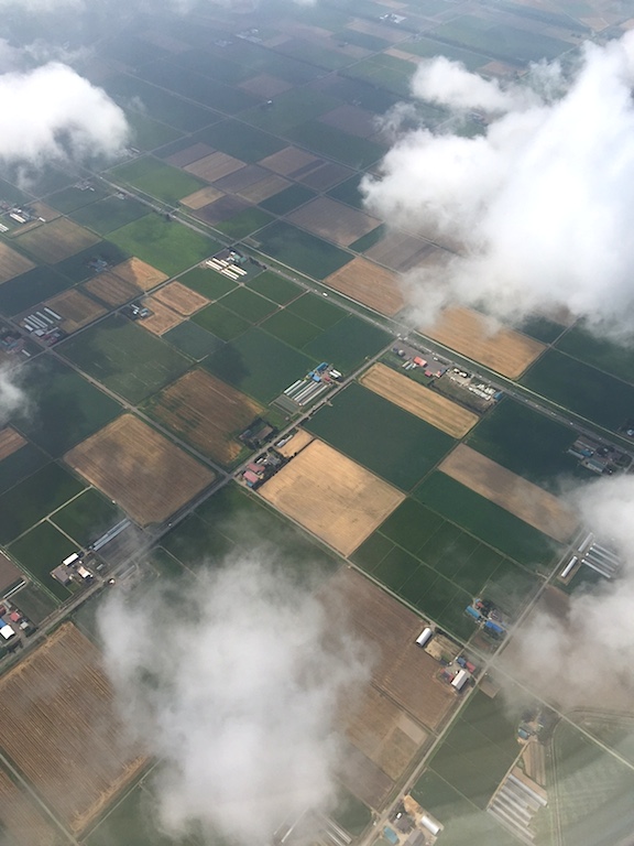 f0108399_7372329.jpg