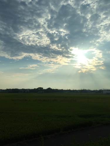 c0114110_17481637.jpg