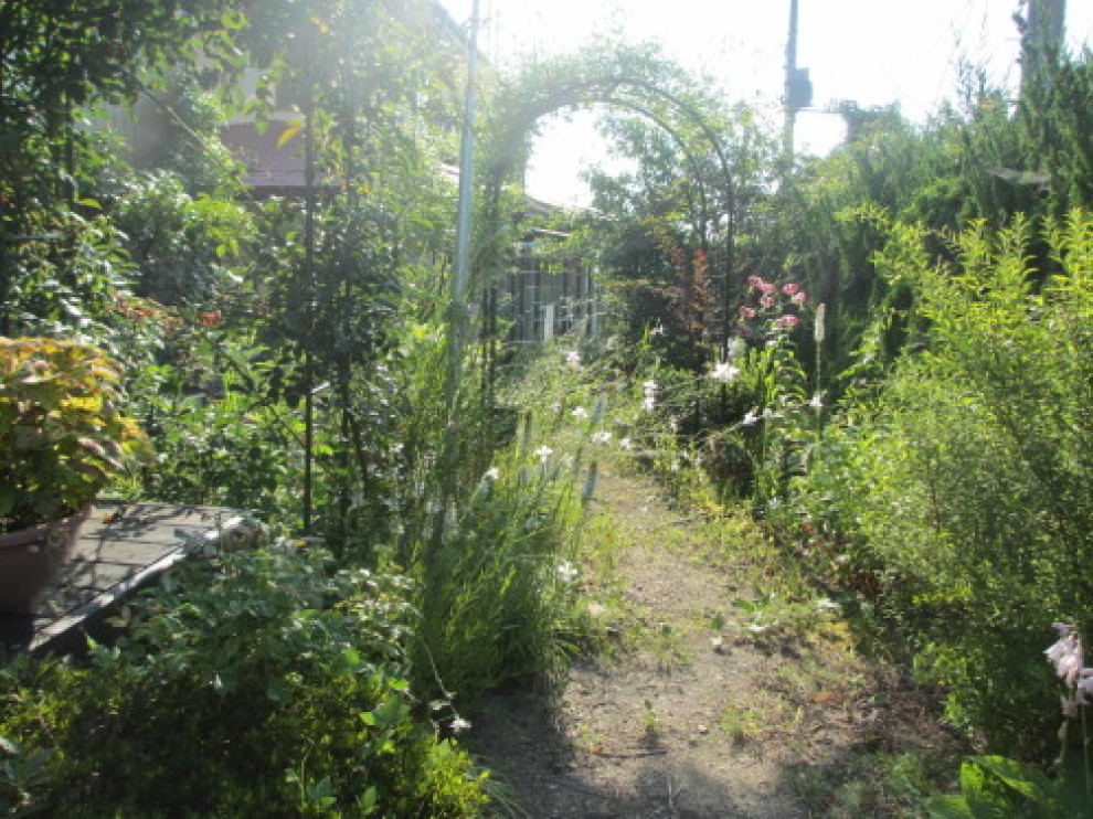 f0157414_23270829.jpg