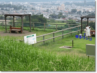 b0167519_1029403.gif