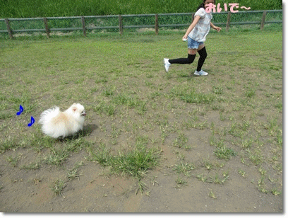 b0167519_1046893.gif