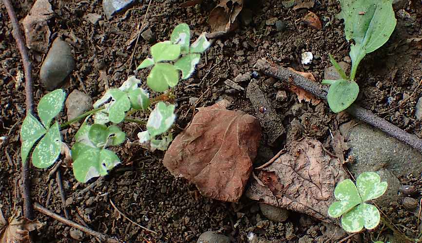 d0303129_1483277.jpg
