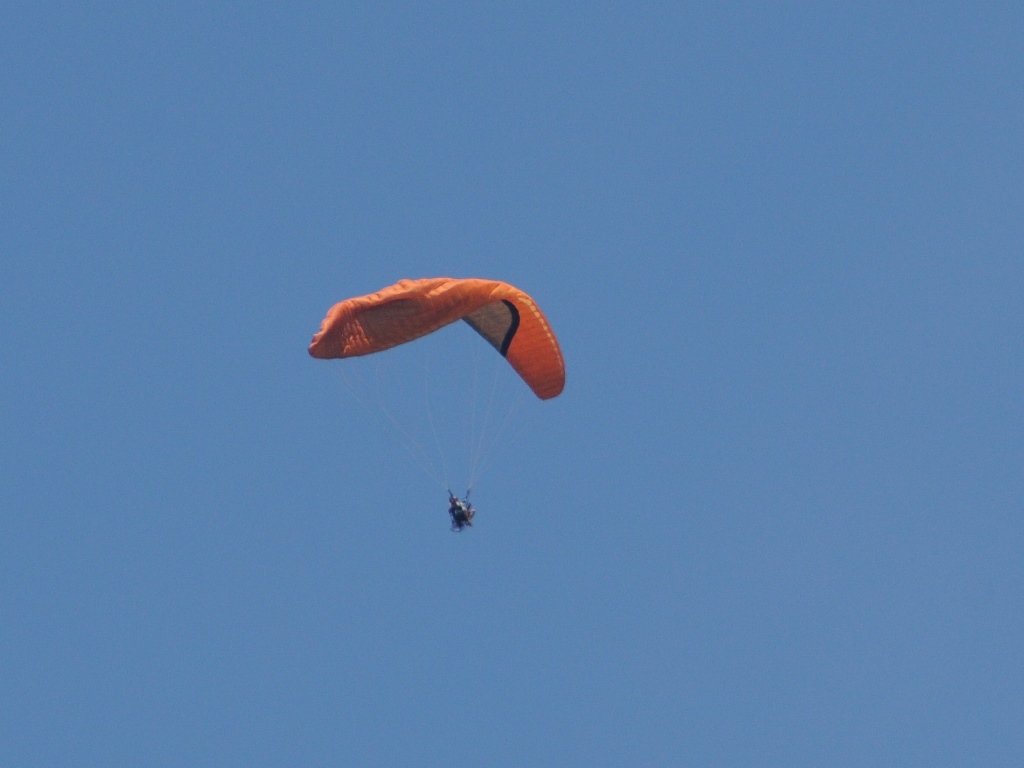 b0334633_16341729.jpg