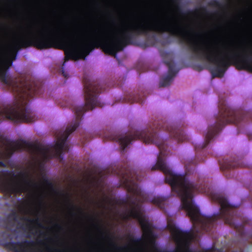 d0221436_2352120.jpg