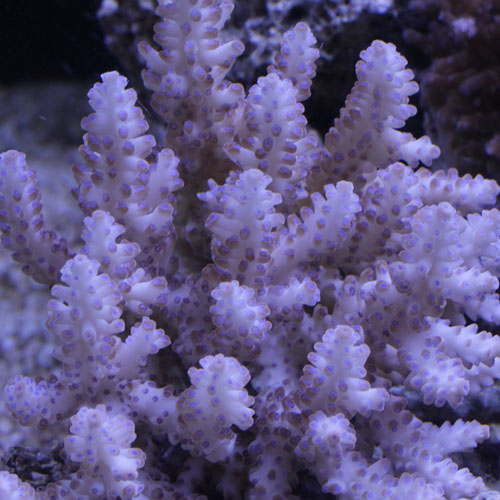 d0221436_2353259.jpg
