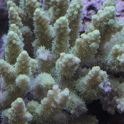 d0221436_2353971.jpg
