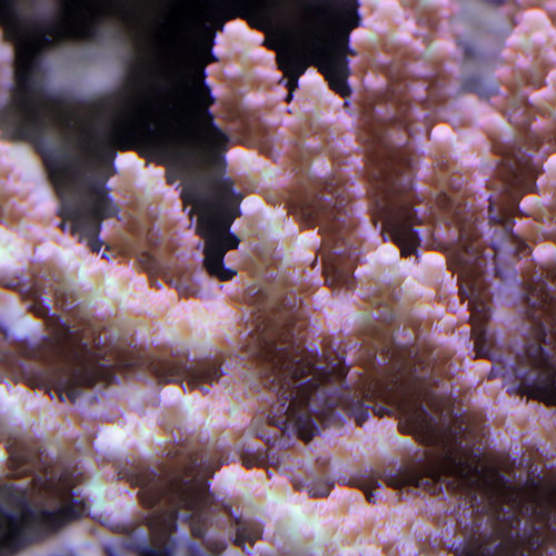 d0221436_2355540.jpg