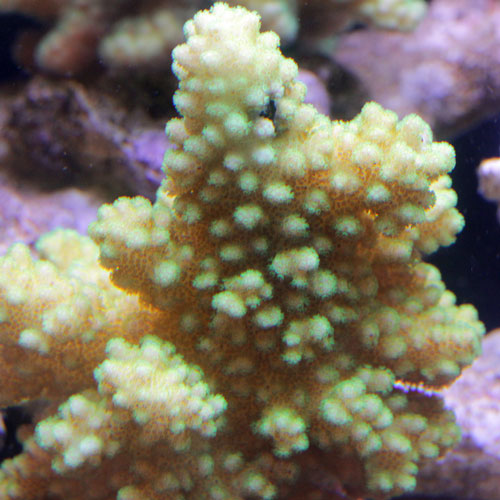 d0221436_235712.jpg