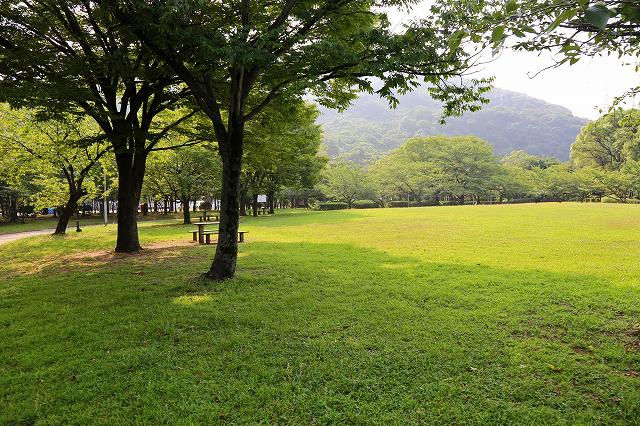 a0242438_189576.jpg