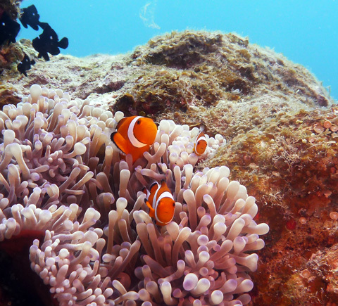 f0014842_20270613.jpg