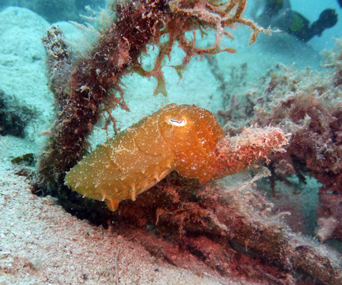f0014842_20270630.jpg