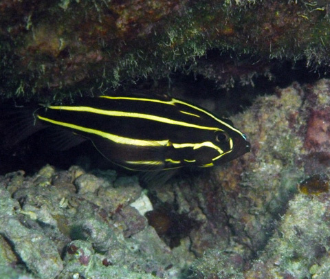 f0014842_20270692.jpg