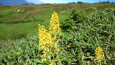b0148050_1625176.jpg