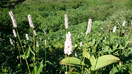 b0148050_1625691.jpg