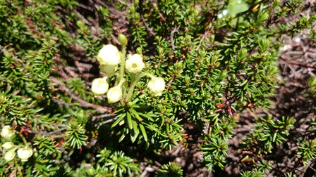 b0148050_16282378.jpg
