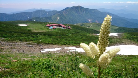 b0148050_16295512.jpg