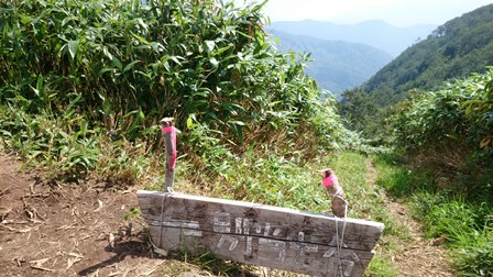 b0148050_16331517.jpg