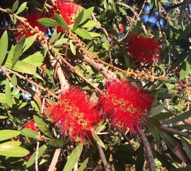 b0173754_01471633.jpg