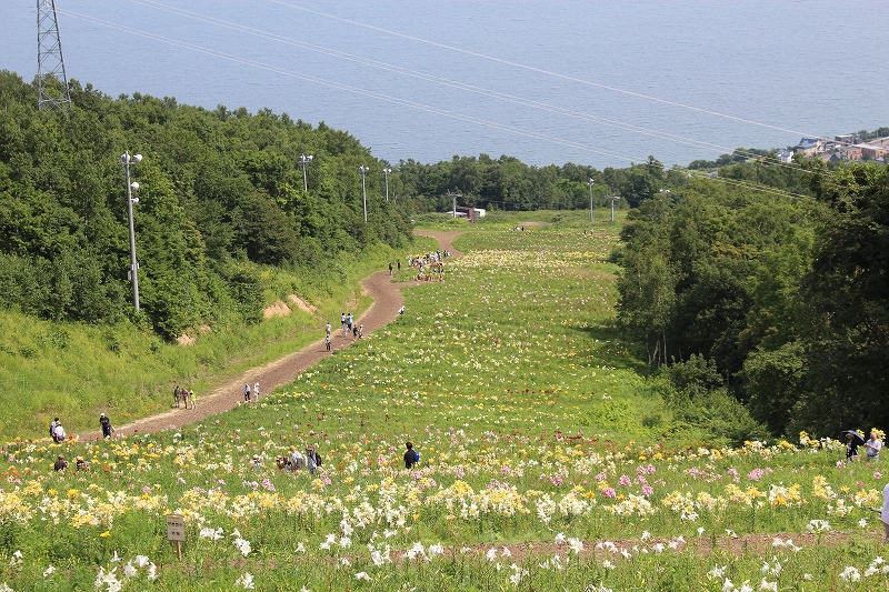 b0250154_6293427.jpg