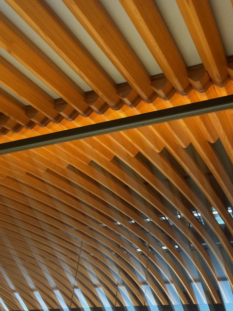 a0070655_105193.jpg