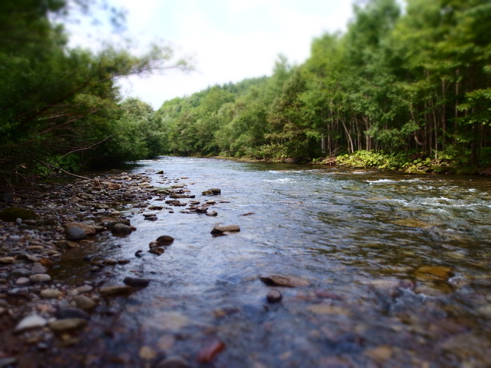 e0212759_20255519.jpg