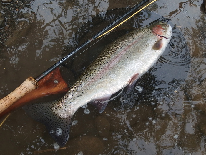 e0212759_2113669.jpg