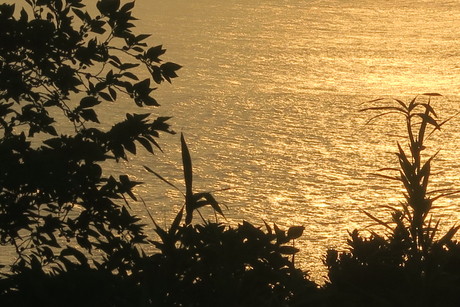 e0292172_9212513.jpg
