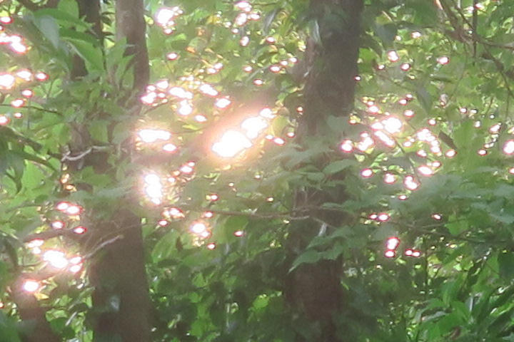 e0292172_9214124.jpg