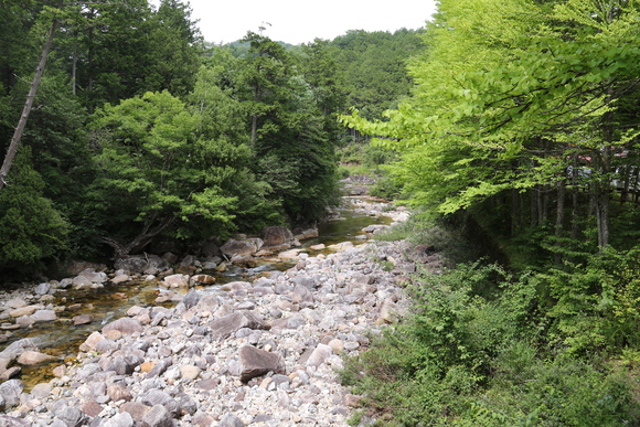 d0187275_1055745.jpg