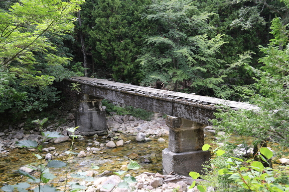 d0187275_1133285.jpg