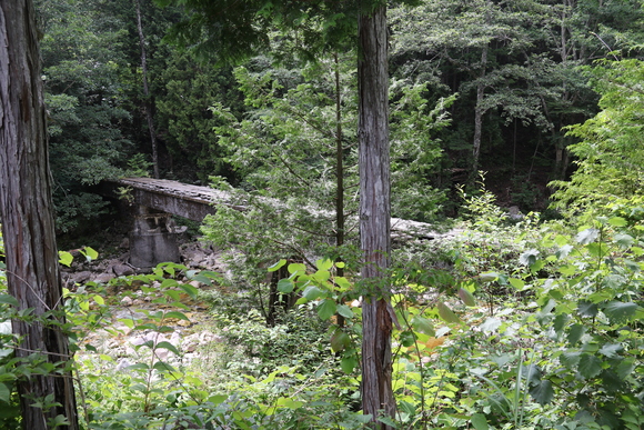 d0187275_1172783.jpg