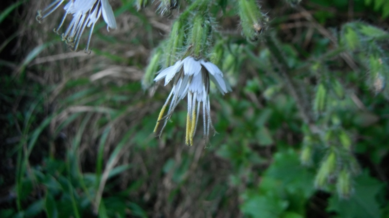 f0082181_22333113.jpg
