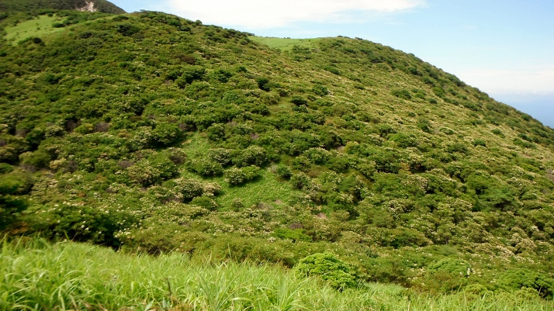f0082181_22474210.jpg