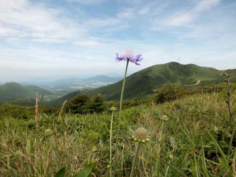 f0082181_2252659.jpg