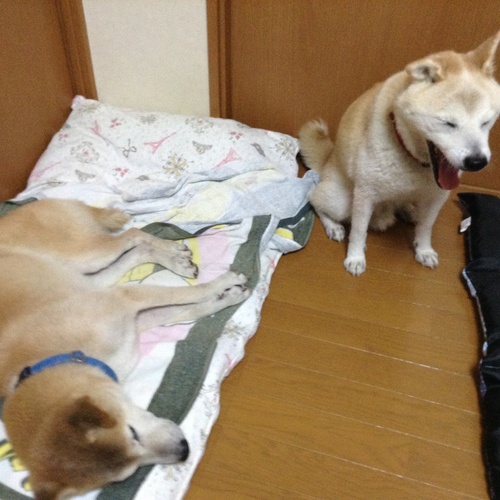 c0123890_2053813.jpg