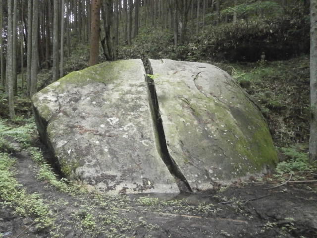 e0307890_20250259.jpg