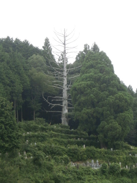 e0307890_20255422.jpg