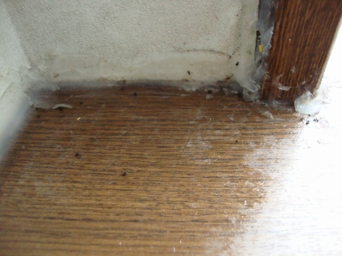 c0322794_9353646.jpg