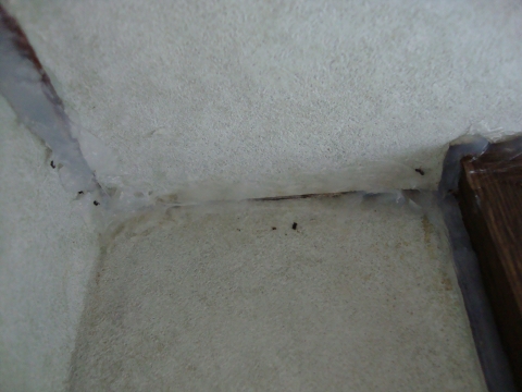 c0322794_9362322.jpg