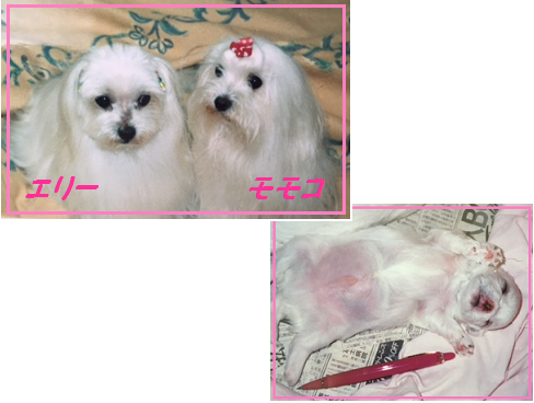 d0282395_1223550.png