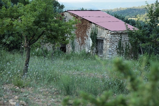 e0209997_1739325.jpg