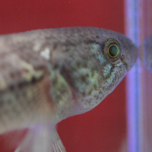 c0165800_20111658.jpg