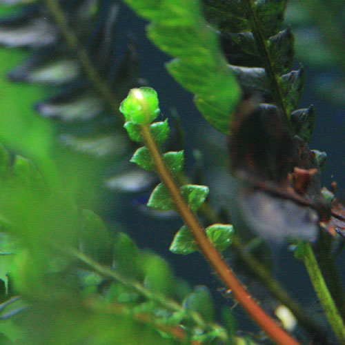 c0165800_2152492.jpg