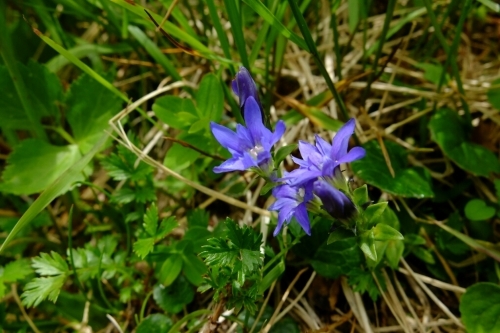 e0304001_18481314.jpg