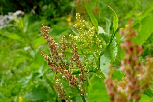 e0304001_18481628.jpg
