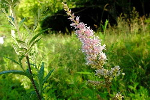 e0304001_19081764.jpg