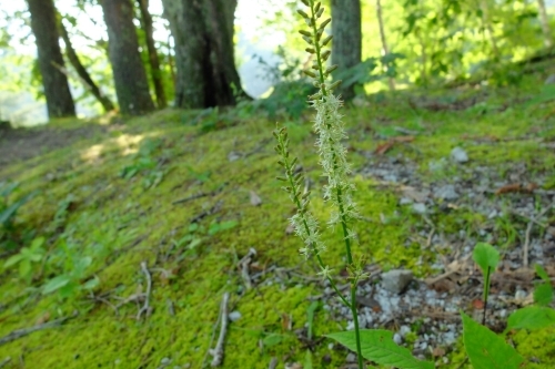e0304001_19082129.jpg