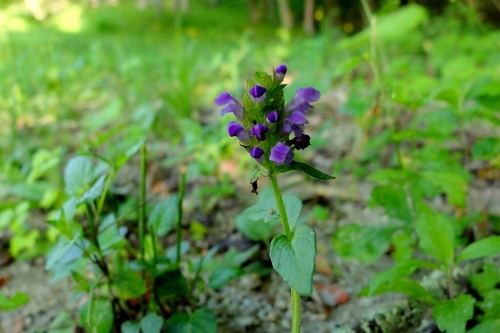 e0304001_19082576.jpg