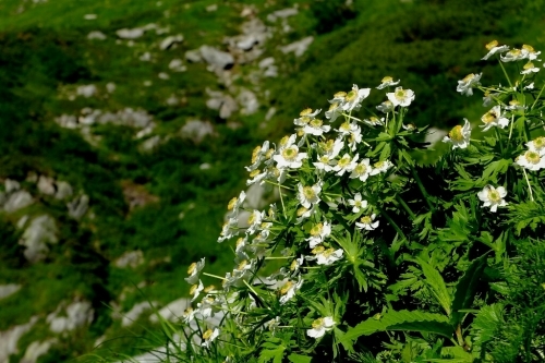 e0304001_21404510.jpg